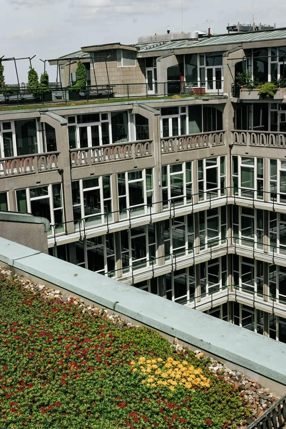 Begrünte Dachfläche auf einem Gebäude